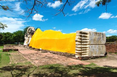 Yellow and trees against sky