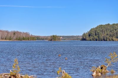 Scenic view of lake against clear blue sky