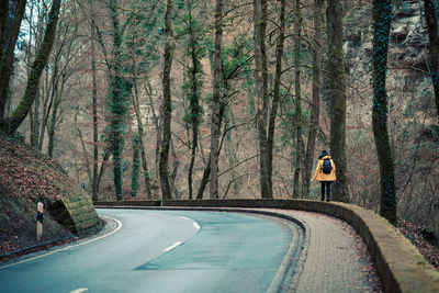 Rear view of person walking on retaining wall by roadside at forest