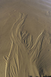 High angle view of sand tracks on beach