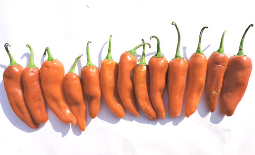 High angle view of vegetables against white background