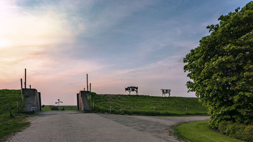 Road amidst field against sky