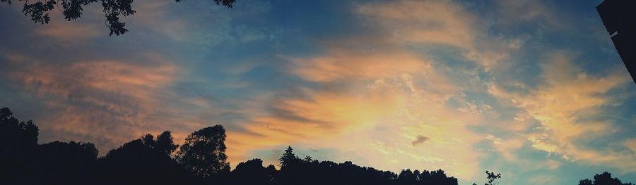 Low angle view of silhouette trees against scenic sky