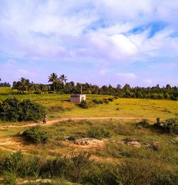 Scenic view of field against sky