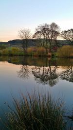 Reflection of trees in calm lake