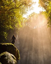 Low angle view of woman standing on rock amidst trees against sky