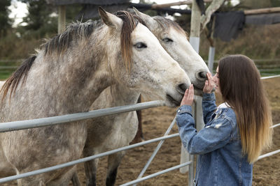 Teenage girl touching horses at ranch