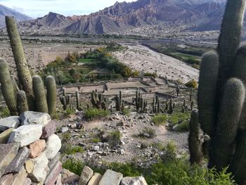 Scenic view of rocky mountains