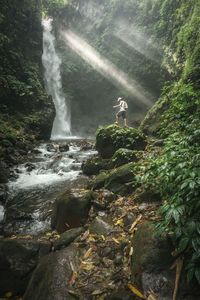 Scenic view of waterfall in forest