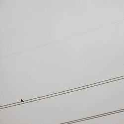 Low angle view of birds perching on cable against sky