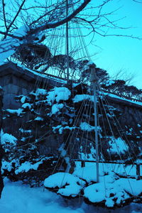 Close-up of snow covered tree