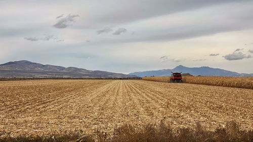 Scenic view of agricultural field against sky