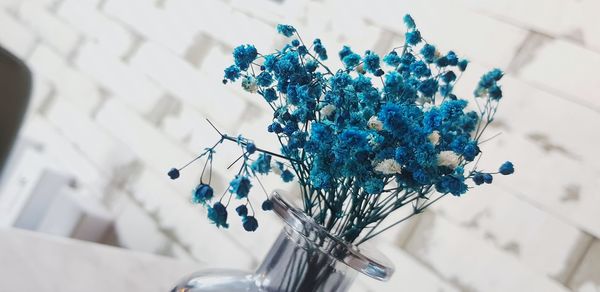 High angle view of plant in vase