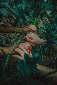Cropped hands holding branch of tree in forest
