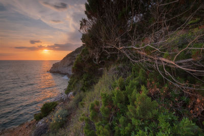 Scenic view of sea against sky during sunset