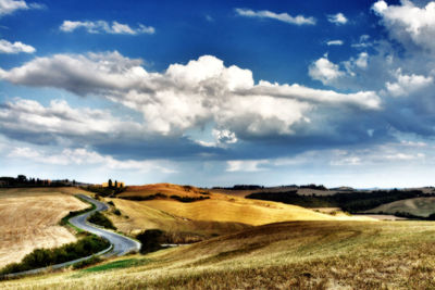 Scenic view of field against sky