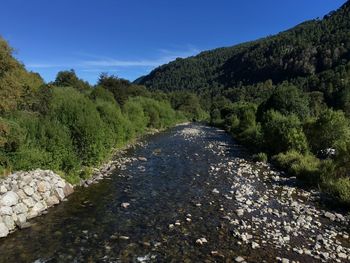 Narrow stream along trees on mountain