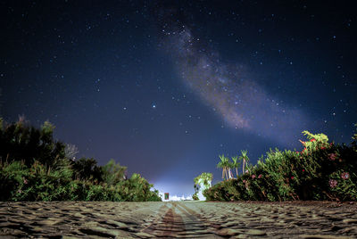 Scenic view of trees against sky at night