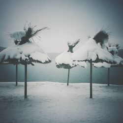 White bird on snow covered landscape during winter