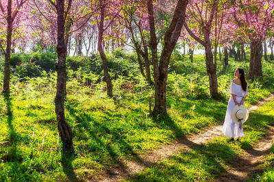 Woman standing by tree trunk in forest