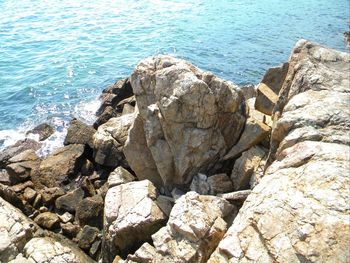 Close-up of rocks in sea