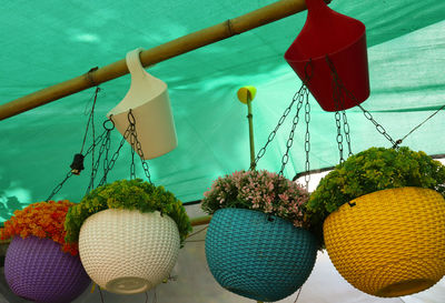 Close-up of fruits hanging on table