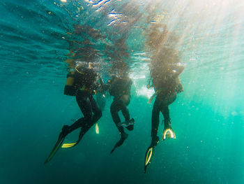 Cropped unrecognizable divers scuba diving in deep ocean