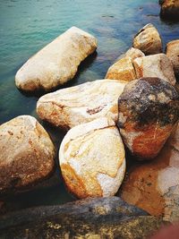 Close-up of rocks on shore