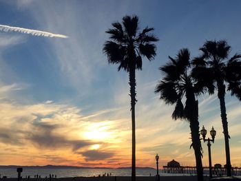 Palm trees at sunset