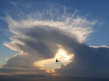 Low angle view of silhouette bird flying in sky