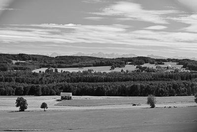 black and white
