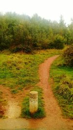 Dirt road amidst field against sky