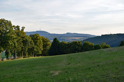 Trees on field against sky