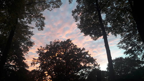 Low angle view of silhouette tree against sky at sunset