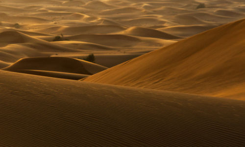 Full frame shot of sand dune