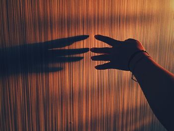 Cropped hand of person with shadow on wood during sunset