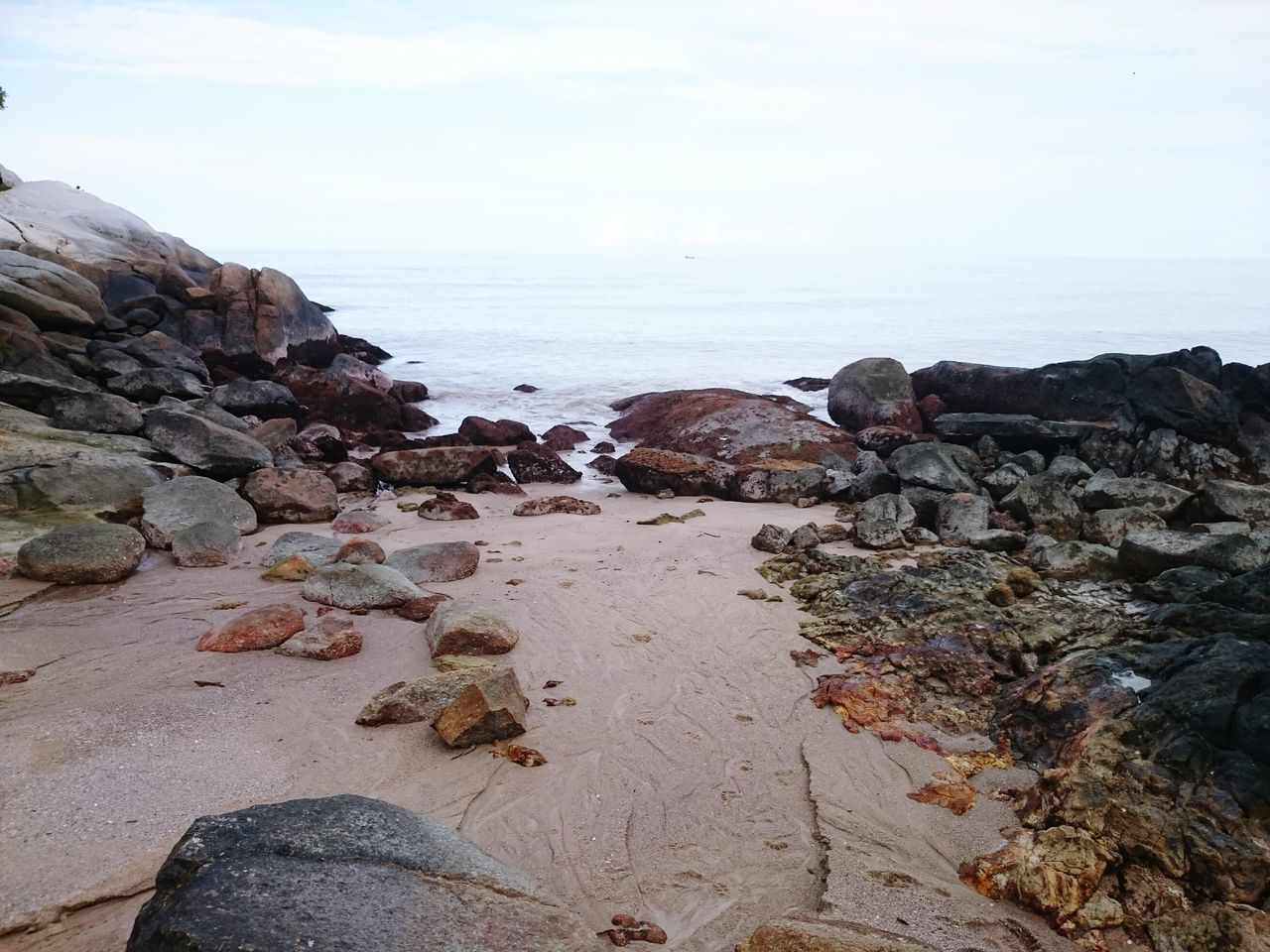 SURFACE LEVEL OF ROCKS ON SHORE