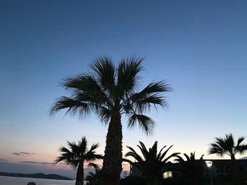 Low angle view of silhouette palm trees against clear sky