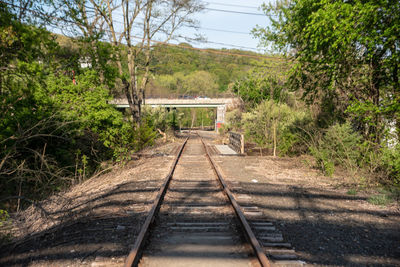 Railroad tracks in forest