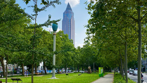 Trees in park with city in background