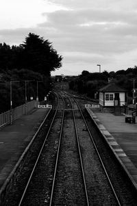 View of railway tracks along trees