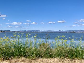 Scenic view of sea against blue sky