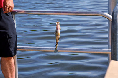 Person holding fish while standing by railing