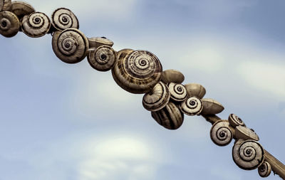 Close-up of snail on metal against sky