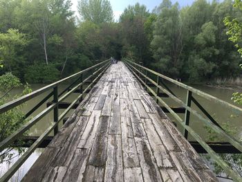 Footbridge amidst trees in forest against sky