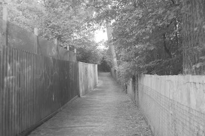 Narrow walkway along trees