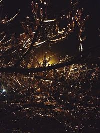 Low angle view of illuminated sky at night