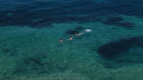 People swimming in sea