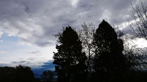 Low angle view of tree against cloudy sky