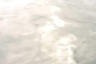 Reflection of trees in water